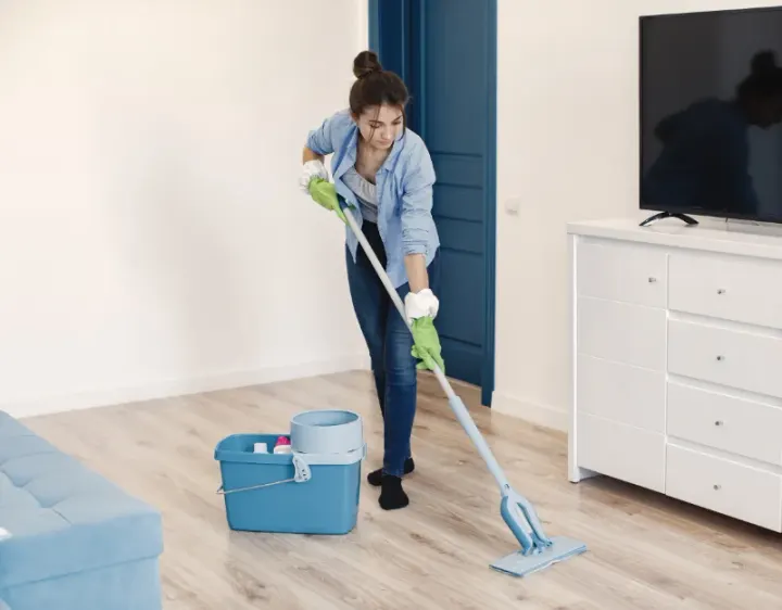 Femme de ménage La Bigottière